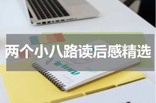 两个小八路读后感精选