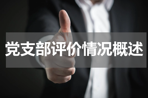 党支部评价情况概述