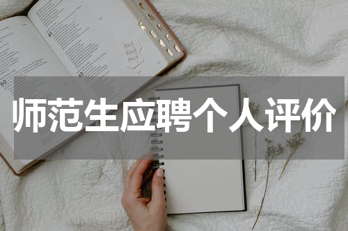 师范生应聘个人评价