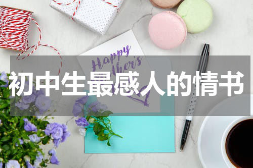 初中生最感人的情书