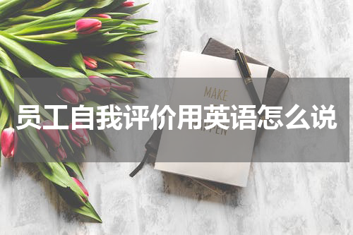 员工自我评价用英语怎么说