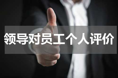 领导对员工个人评价