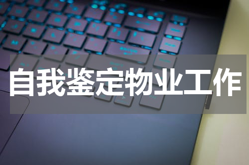 自我鉴定物业工作