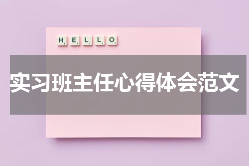 实习班主任心得体会范文
