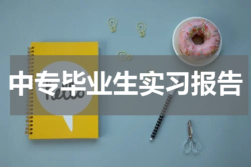 中专毕业生实习报告