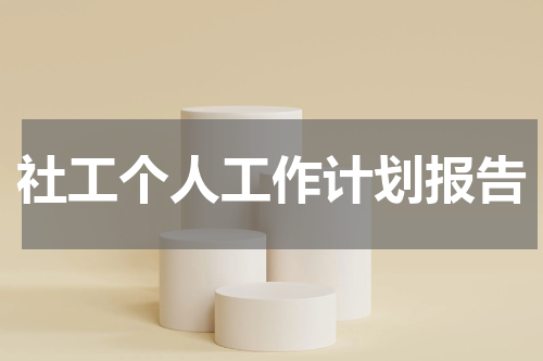 社工个人工作计划报告