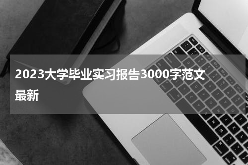 2023大学毕业实习报告3000字范文最新