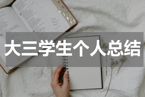 大三学生个人总结