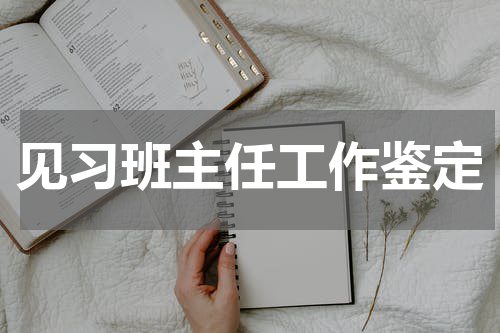 见习班主任工作鉴定