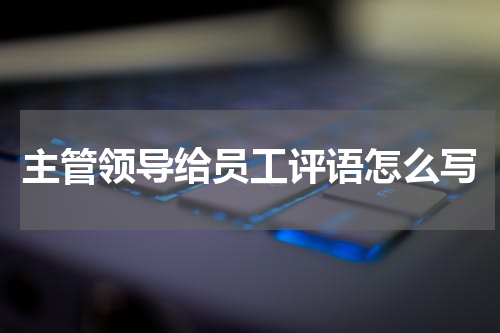 主管领导给员工评语怎么写