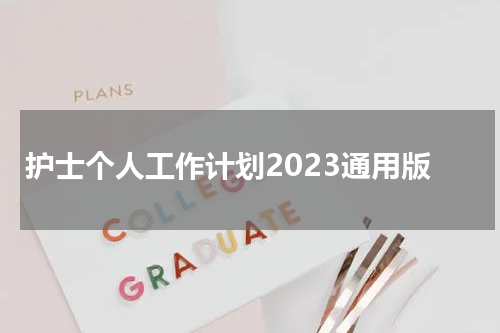 护士个人工作计划2023通用版