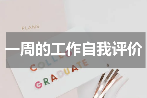 一周的工作自我评价