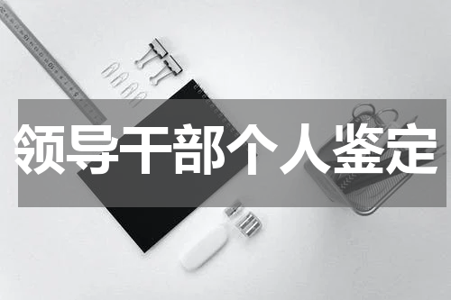 领导干部个人鉴定