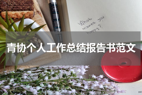 青协个人工作总结报告书范文