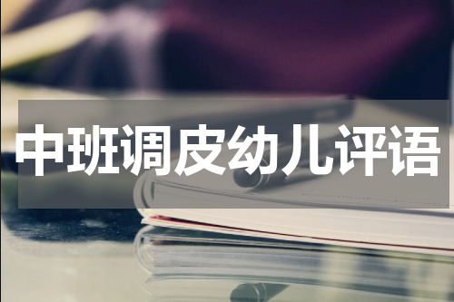 中班调皮幼儿评语