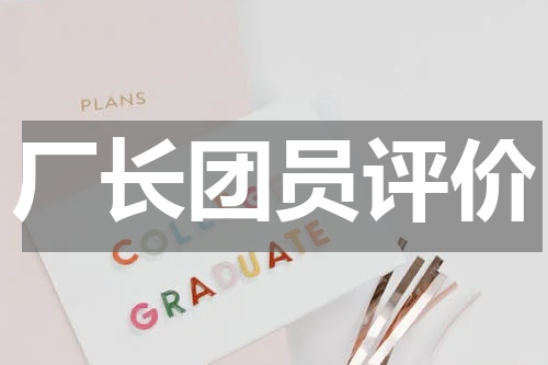 厂长团员评价