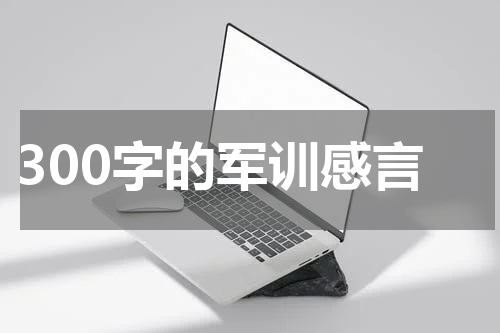 300字的军训感言