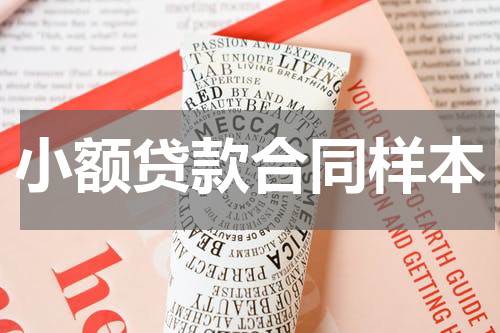 小额贷款合同样本