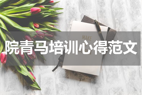 院青马培训心得范文