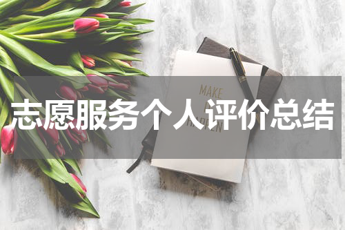 志愿服务个人评价总结