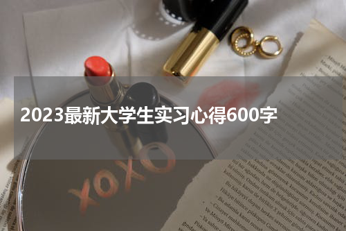 2023最新大学生实习心得600字
