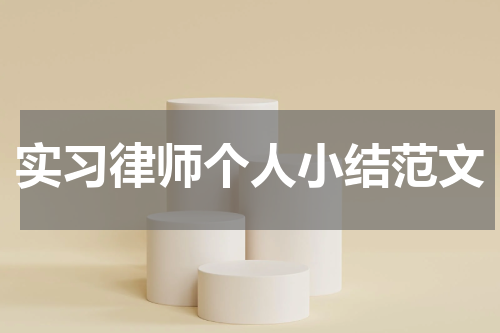 实习律师个人小结范文