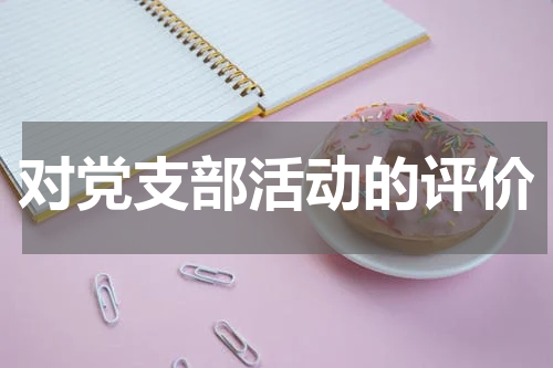 对党支部活动的评价