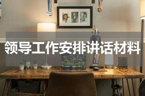 领导工作安排讲话材料