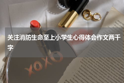 关注消防生命至上小学生心得体会作文两千字