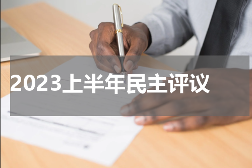2023上半年民主评议