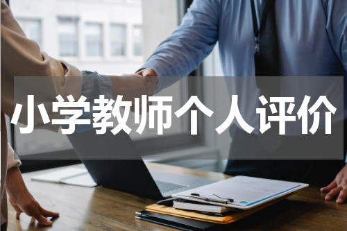 小学教师个人评价