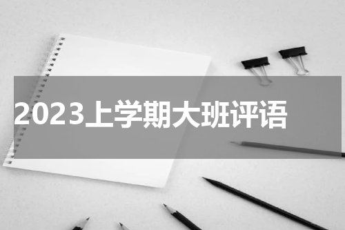 2023上学期大班评语