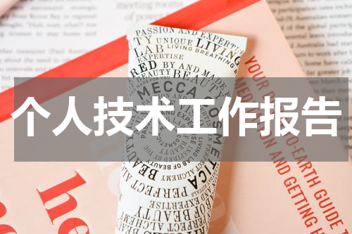 个人技术工作报告