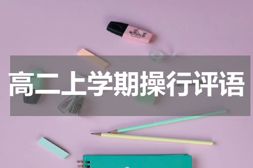 高二上学期操行评语