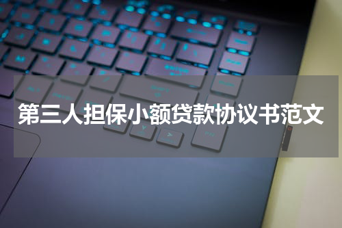 第三人担保小额贷款协议书范文