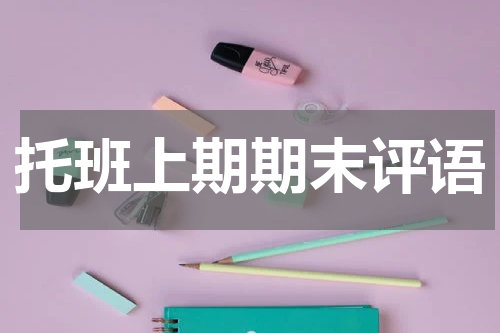 托班上期期末评语