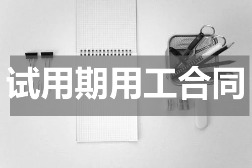 试用期用工合同