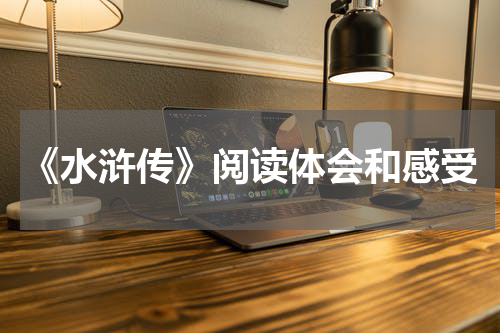 《水浒传》阅读体会和感受