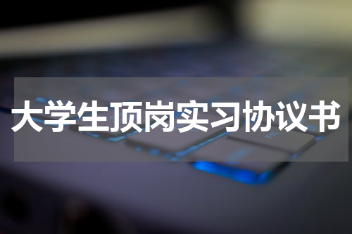 大学生顶岗实习协议书