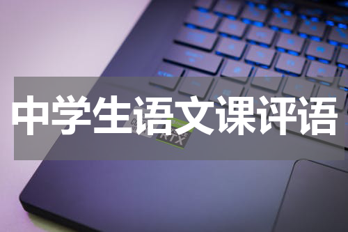 中学生语文课评语