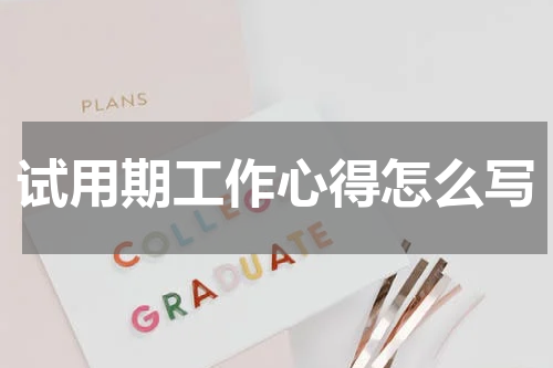试用期工作心得怎么写