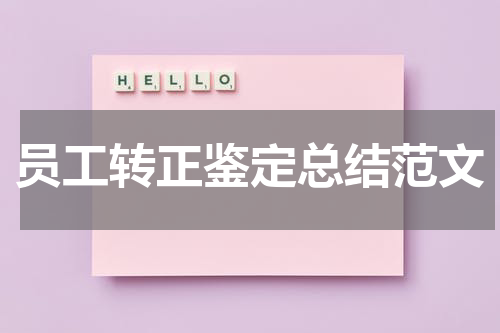 员工转正鉴定总结范文