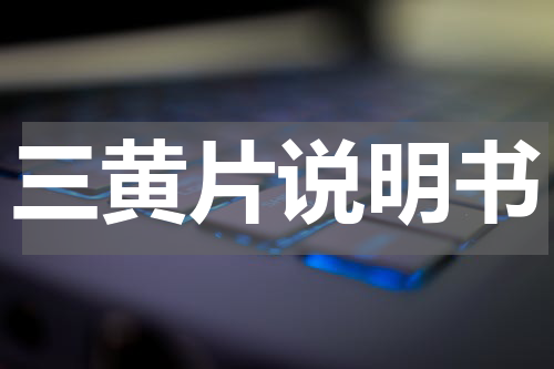 三黄片说明书