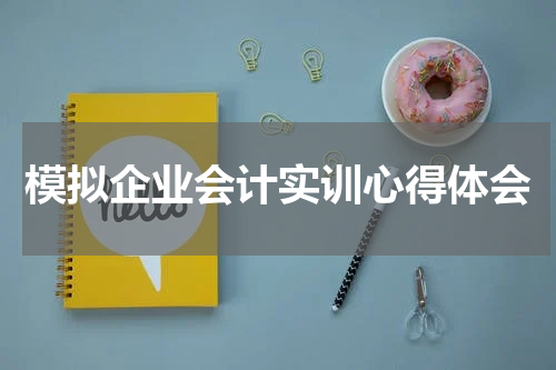 模拟企业会计实训心得体会