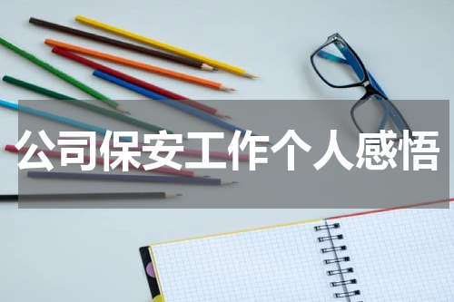 公司保安工作个人感悟