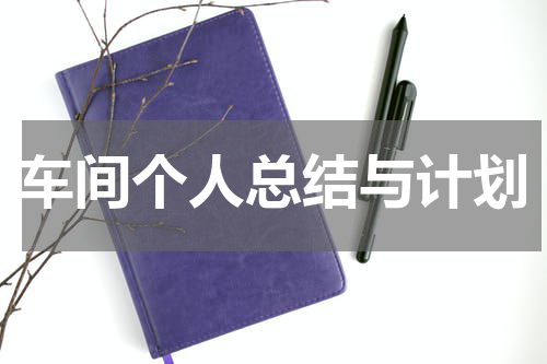 车间个人总结与计划