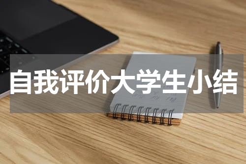 自我评价大学生小结