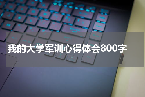 我的大学军训心得体会800字