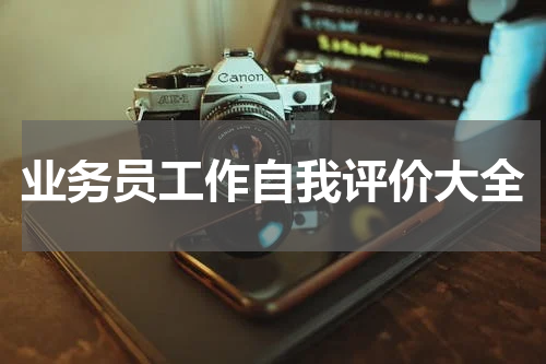 业务员工作自我评价大全