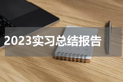 2023实习总结报告